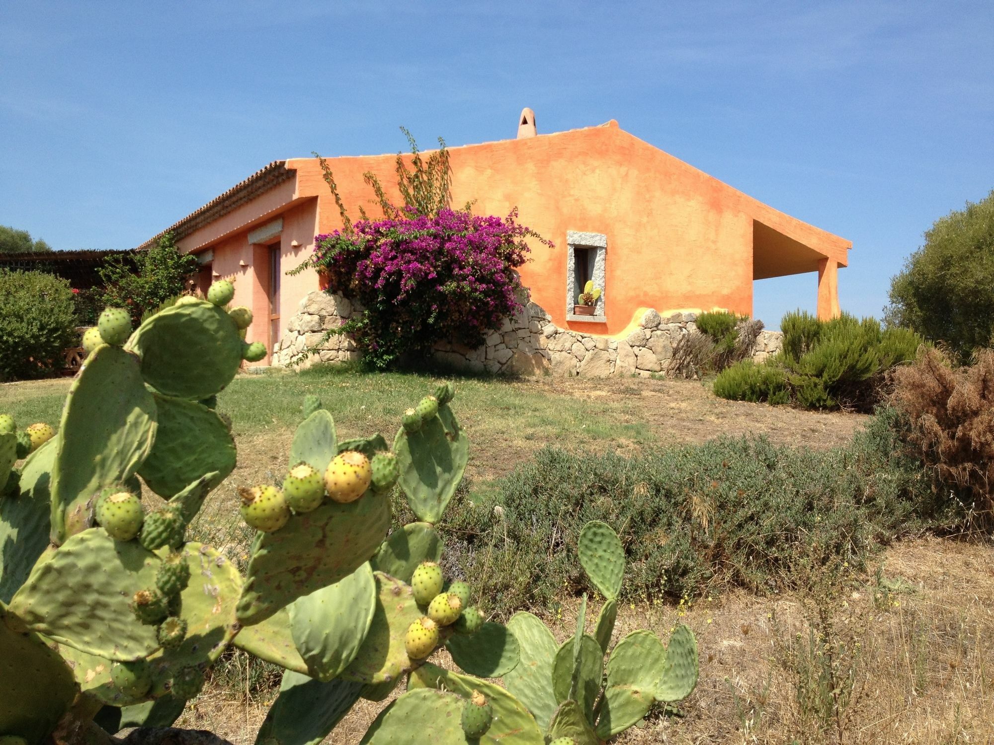 Li Espi Country Resort Porto Pollo Luaran gambar